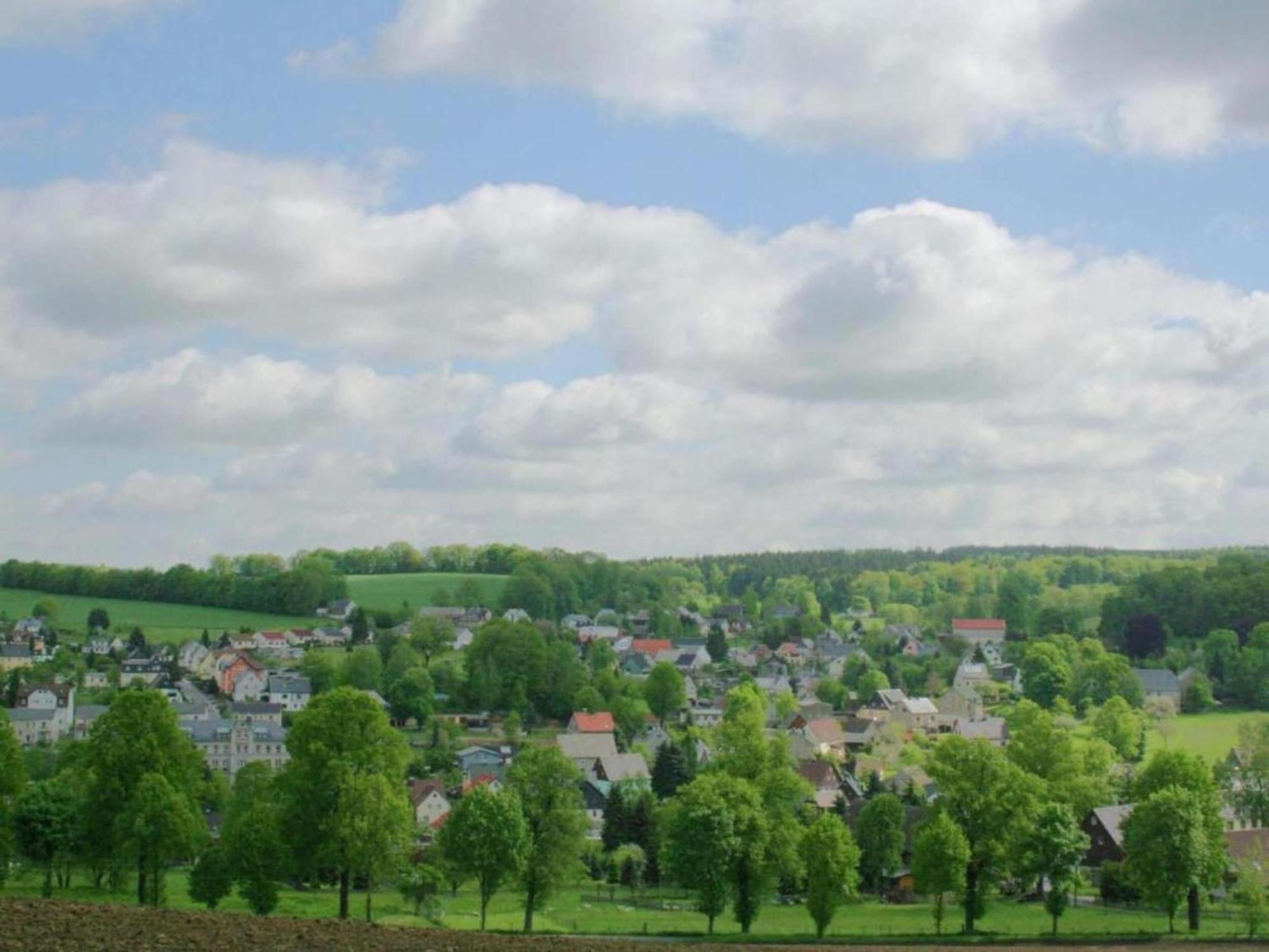 Alluring Villa In Grunhainichen Borstendorf With Garden Leubsdorf Exteriör bild